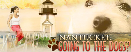 Nantucket: Going to the Dogs